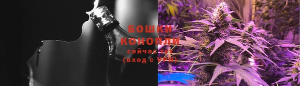 гашик Бронницы