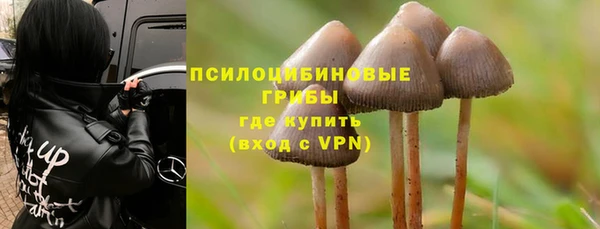 Альфа ПВП Богородицк