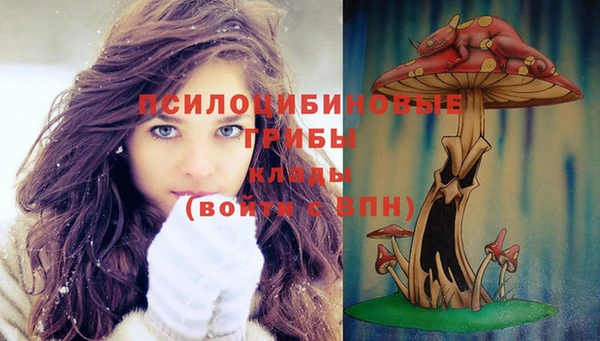 Альфа ПВП Богородицк