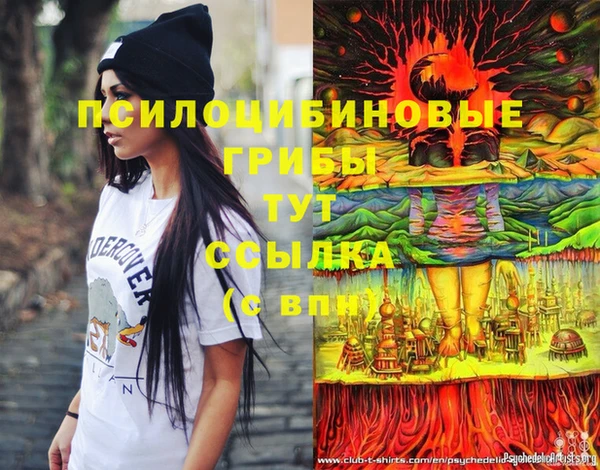 метадон Богородск