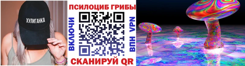 Псилоцибиновые грибы Psilocybe купить сайты Благодарный